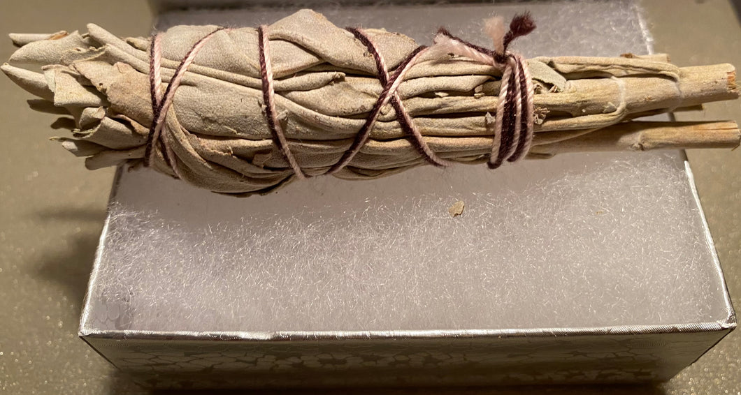 Mini White Sage